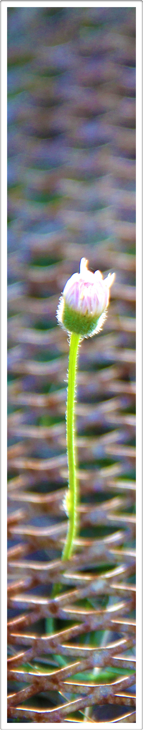 Multidimensional Art Photography Image